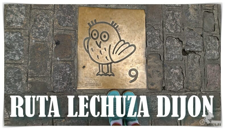 ruta lechuza de Dijon