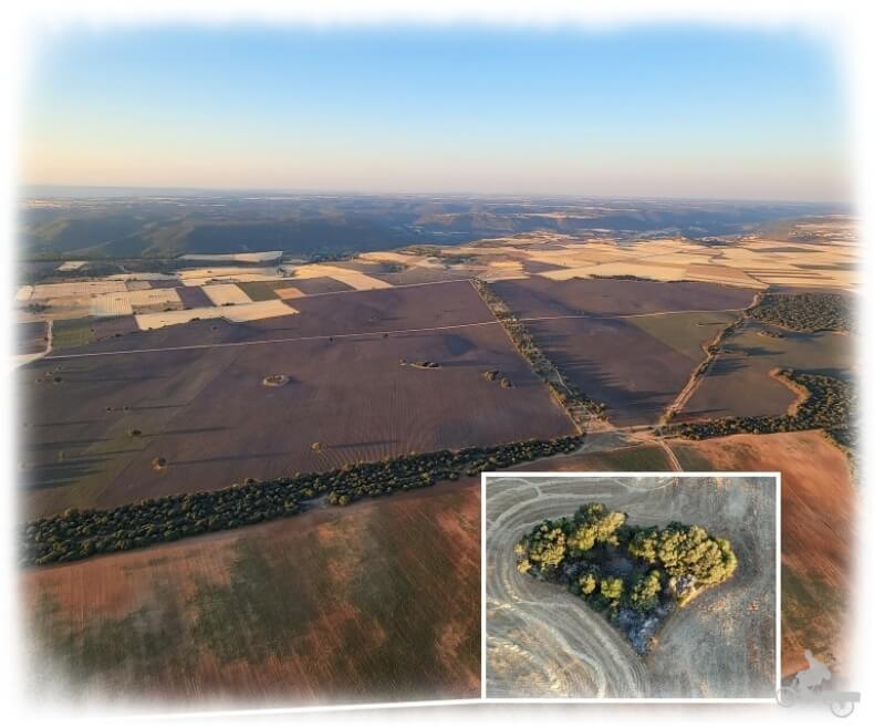 campos guadalajara desde el aire