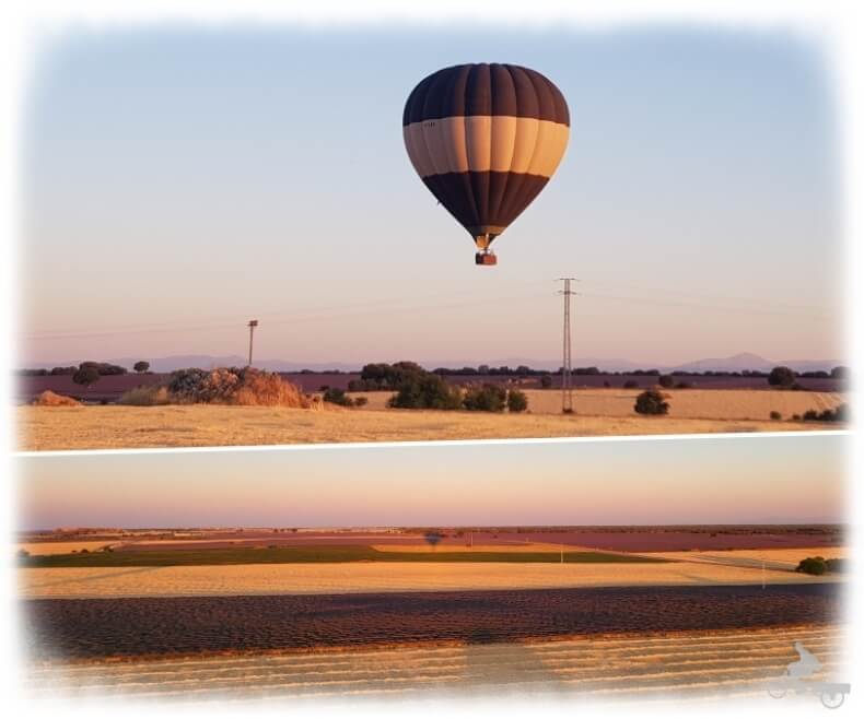 globo campos lavanda Guadalajara
