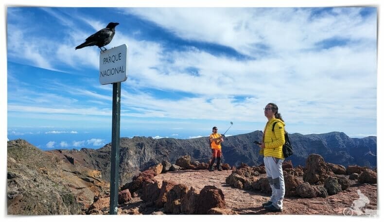 parque nacional roque de los muchachos