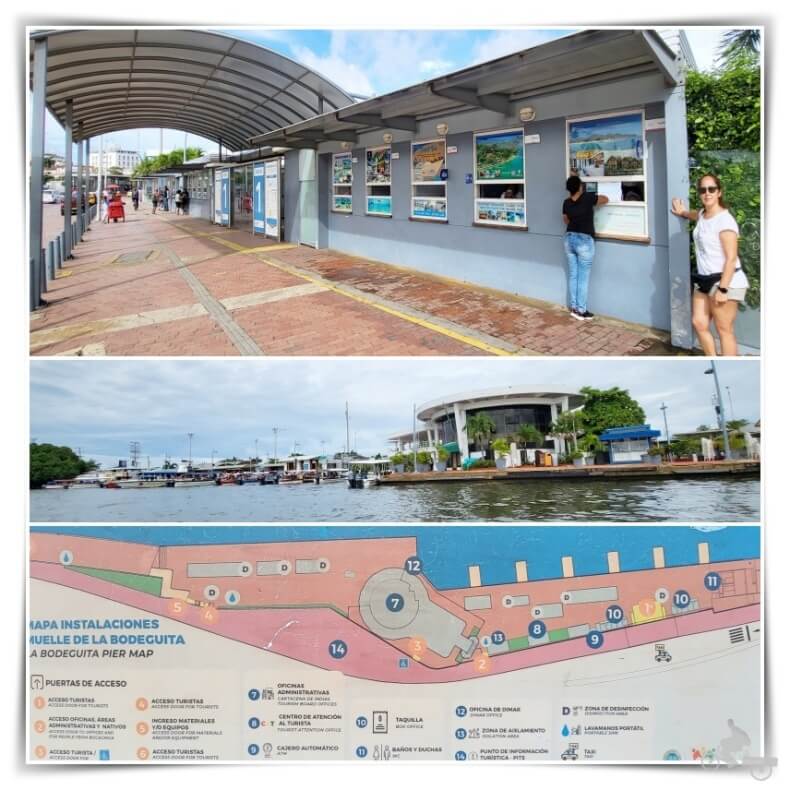 muelle bodeguita
