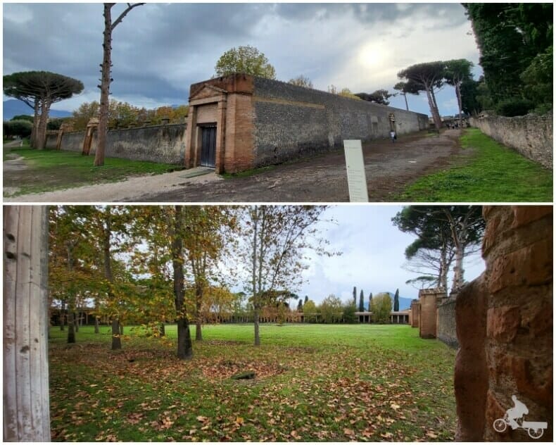 Palestra larga