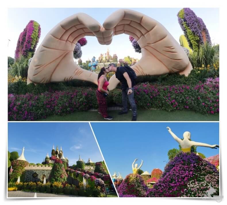 imagenes jardin del milagro de flores