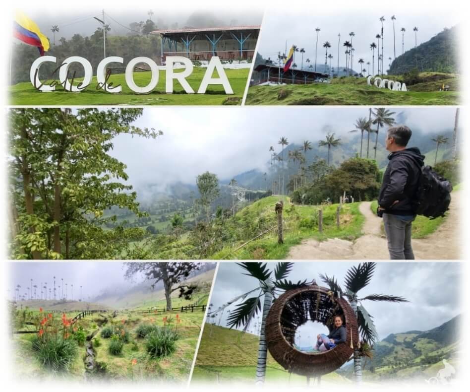 valle cocora