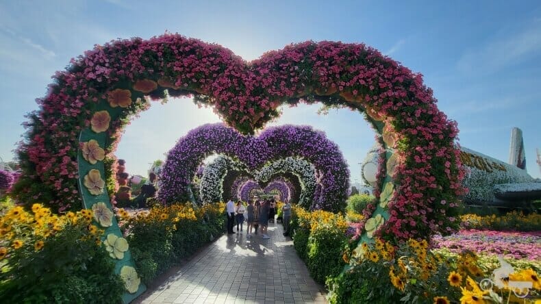 tunel corazon jardin del milagro