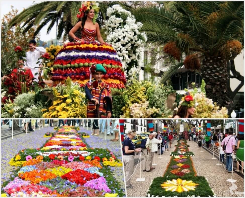 festival flor en Madeira
