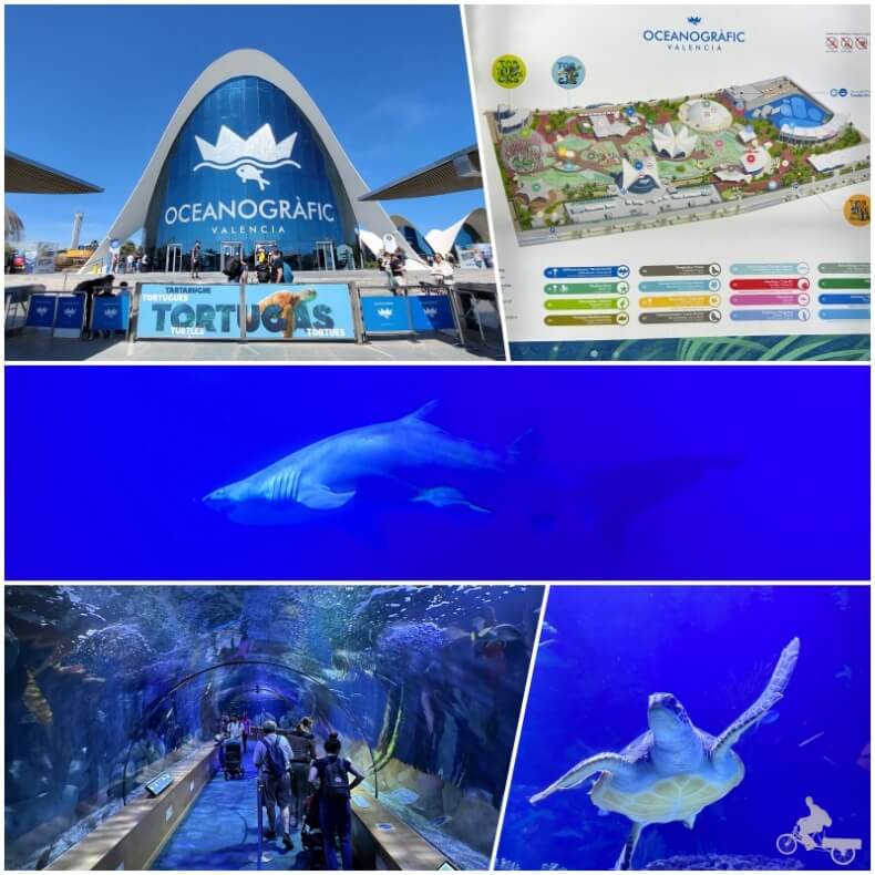 Oceanogràfic