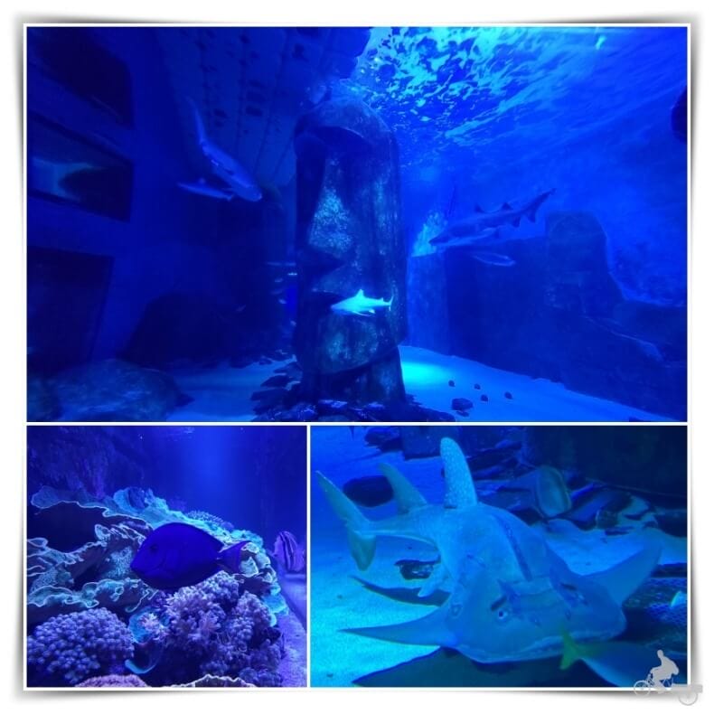 sea life de Londres