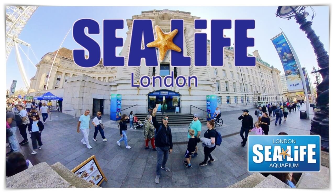 Sea life london