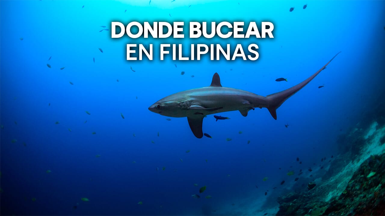 dónde bucear en Filipinas