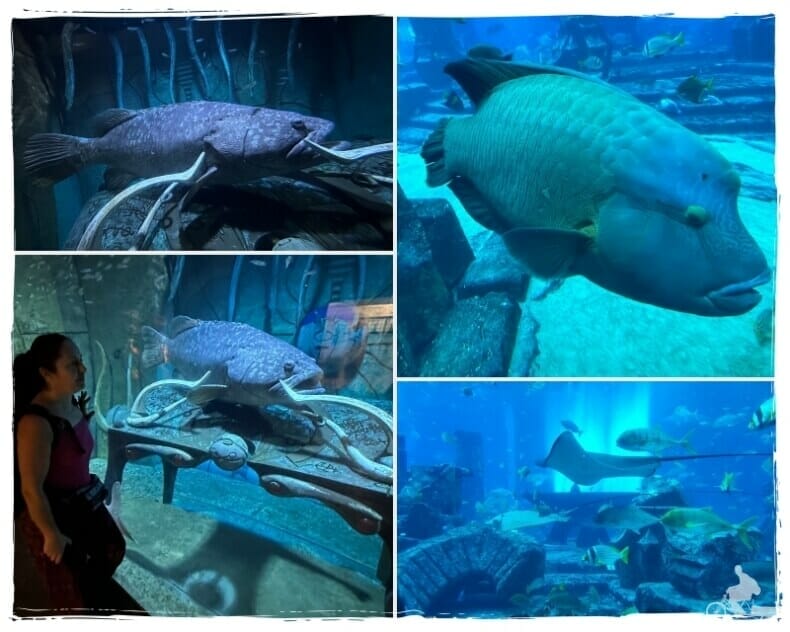  The Lost Chambers en el hotel Atlantis de Dubai