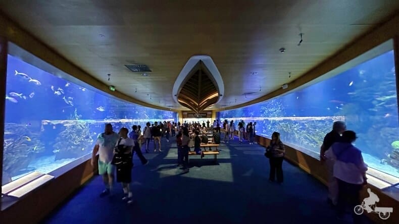 acuario Oceanogràfic de Valencia