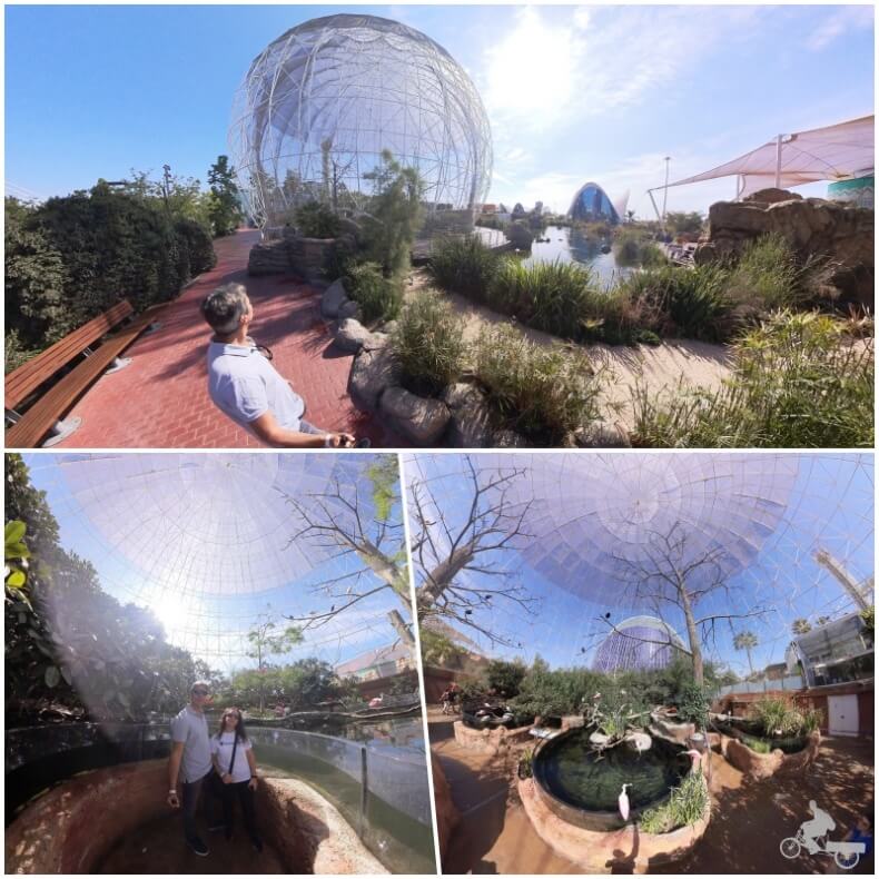 aviario valencia