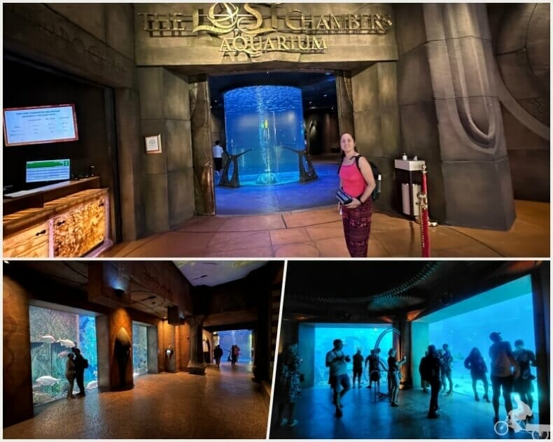 Entrada del Acuario The Lost Chambers  Dubai