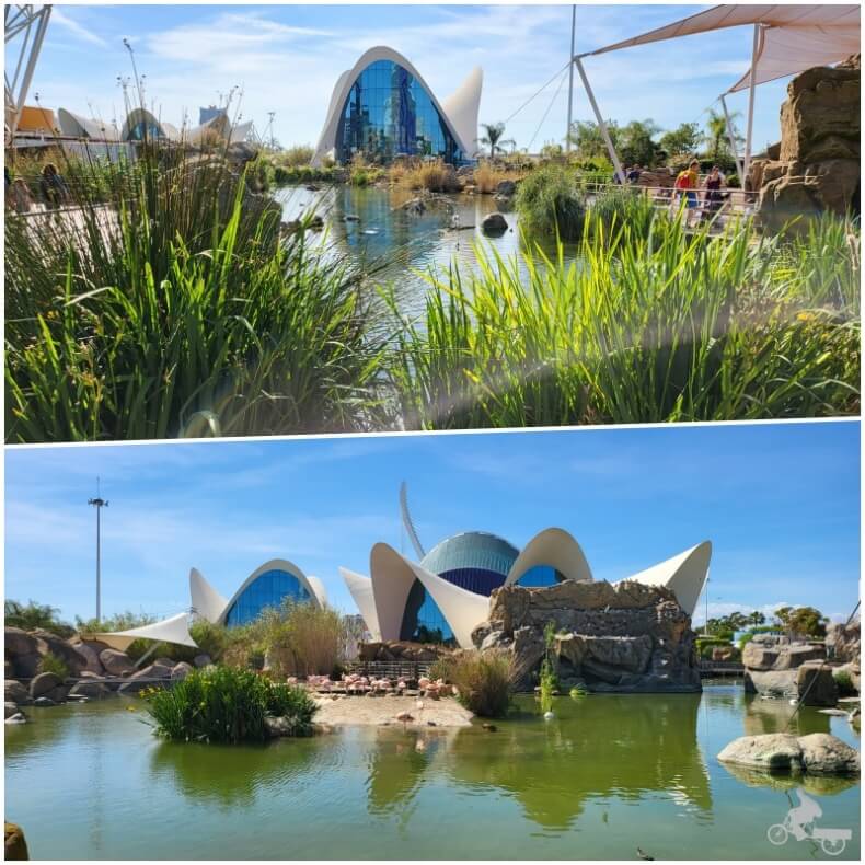 acuario Valencia