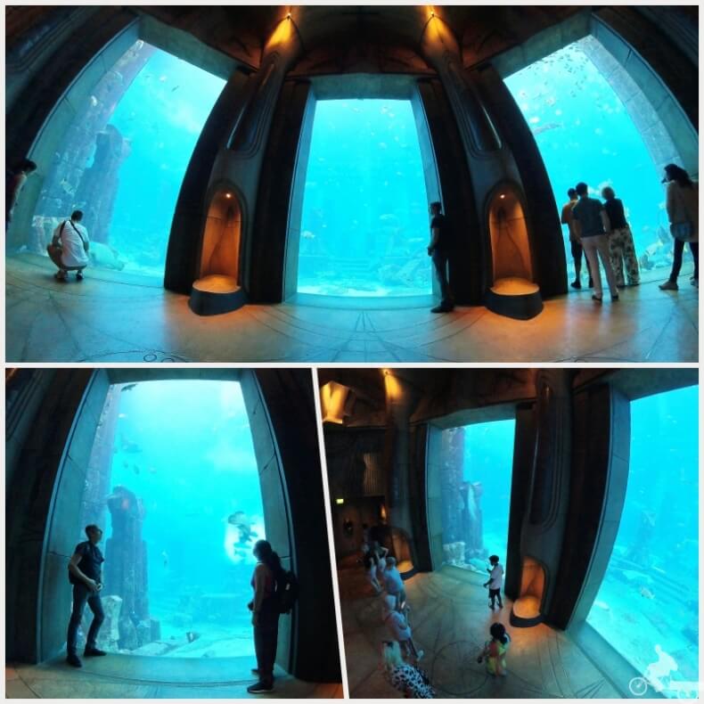Acuario The Lost Chambers en el hotel Atlantis de Dubai