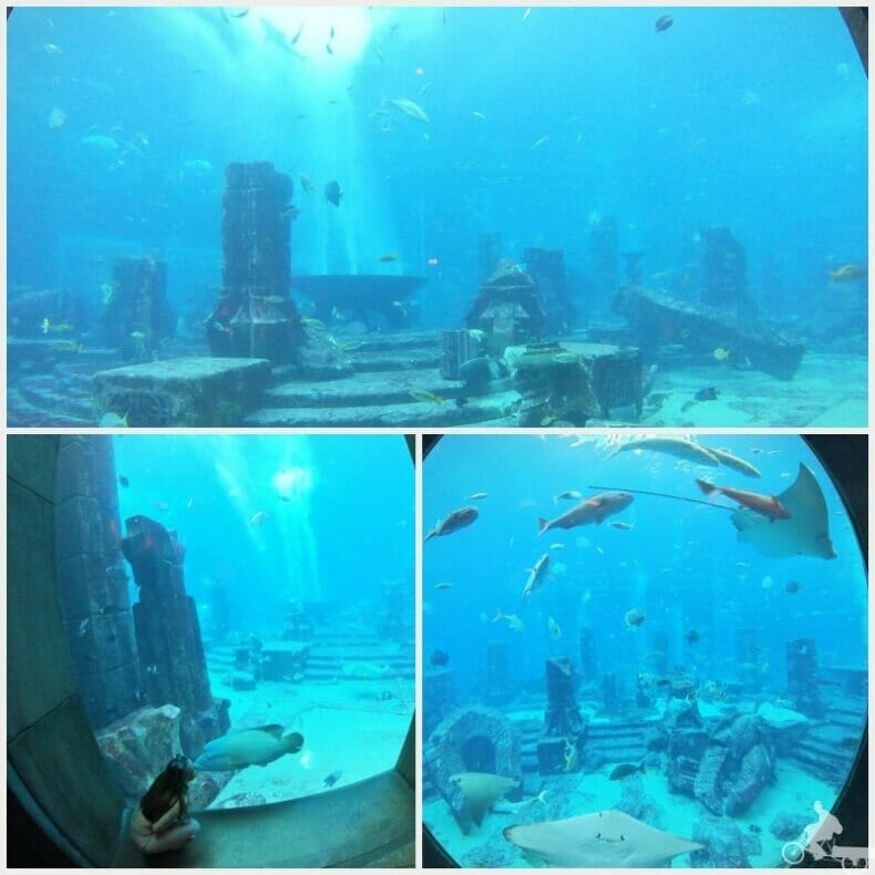 tanque acuario Dubai
