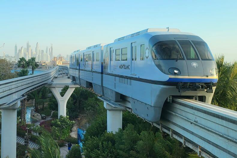 Monorail Palm