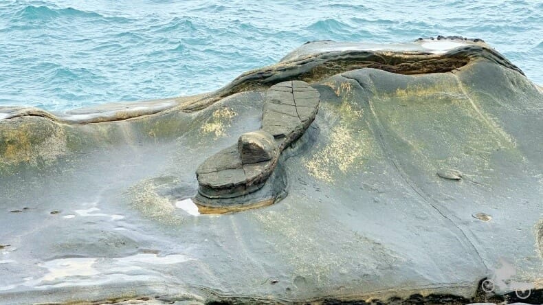 zapato de hada