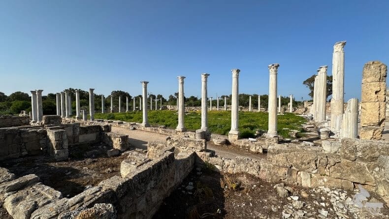 gimnasio de Salamis