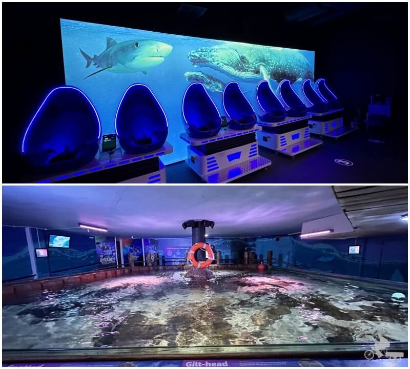 actividades sea life Birmingham