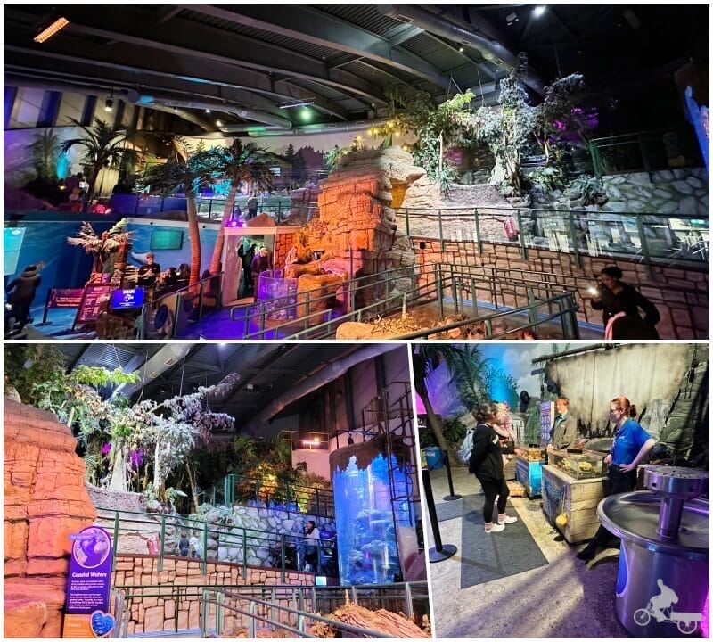 entrada al interior Sea Life Birmingham