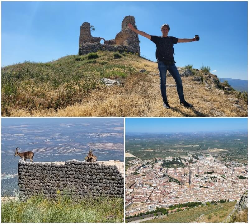Castillo de la Peña de Martos - Ruta de los castillos y batallas de Jaén