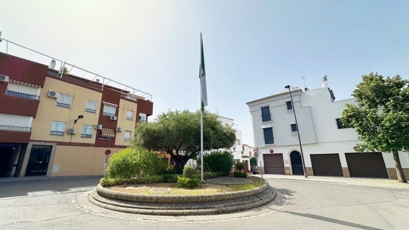 Olivo centenario que ver en Andújar