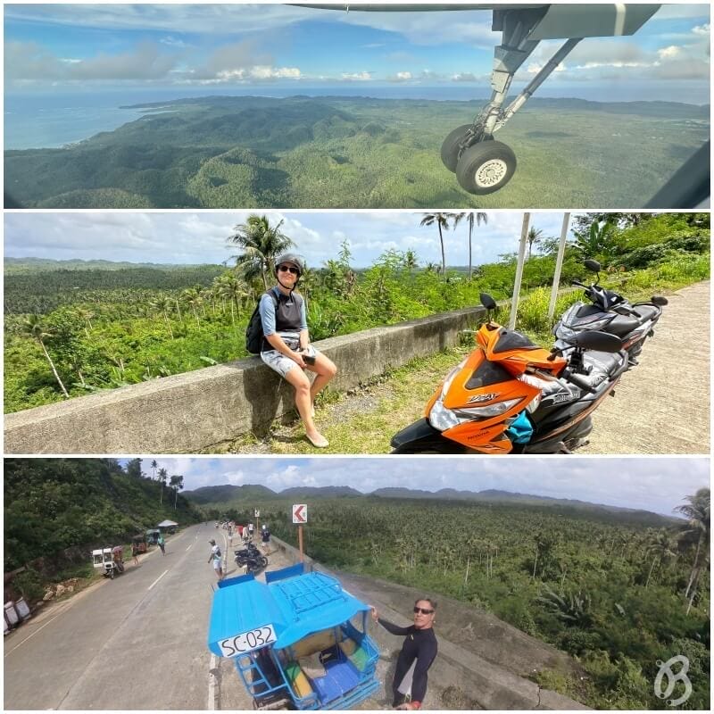 Palmeral de Siargao - Coconut Trees View