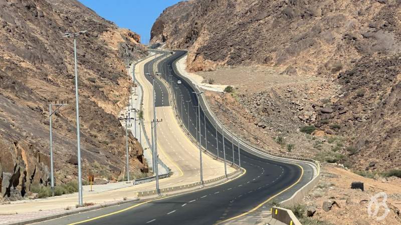 Carretera 1105
