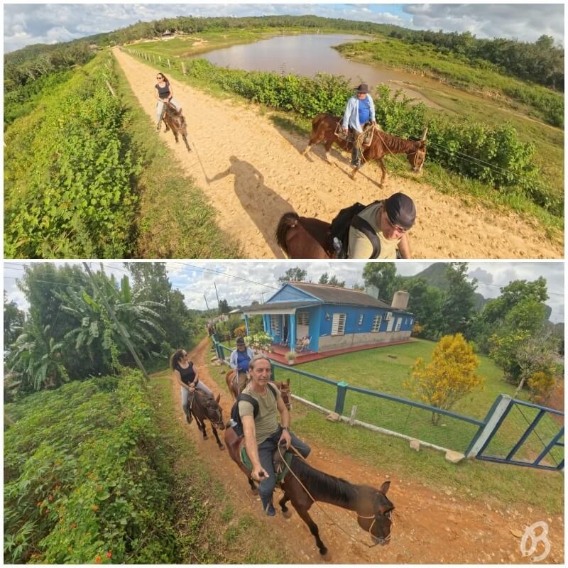 caballos tour viñales