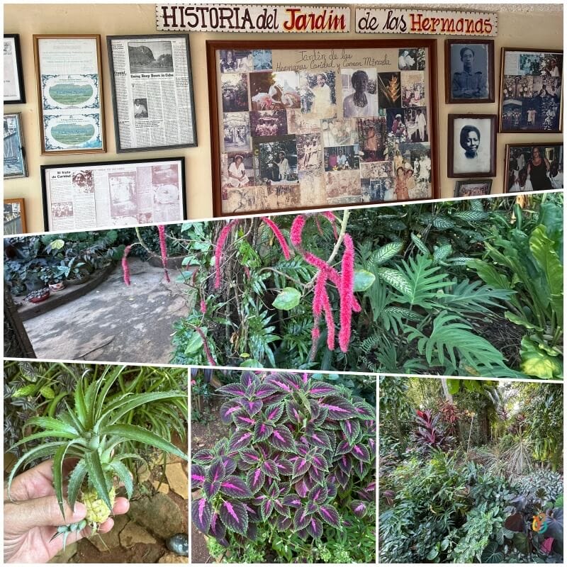 el jardín botánico de Viñales
