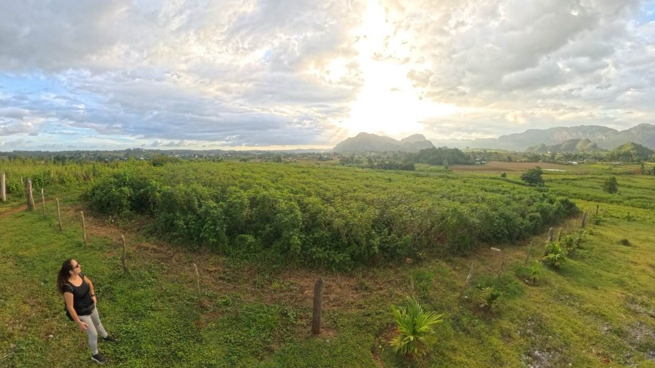 Qué Ver en Viñales en un día o dos