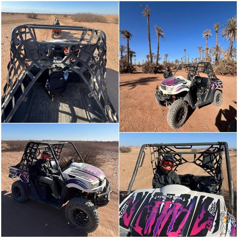 Mi baúl de blogs paseando en buggy por el palmeral de Marrakech