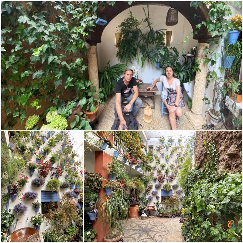 Patios de Córdoba
